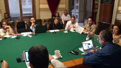 Comisión de Gobernación y Puntos Constitucionales