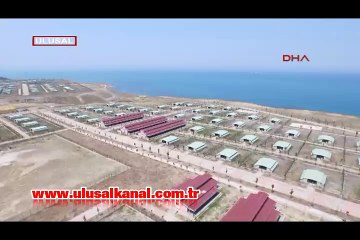 Sarıyer'deki Hayvan Barınağı'nın 2'inci etabı Eyüp'e taşınacak