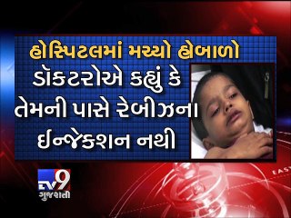 9 children suffered dog bites in Kalyan - Tv9 Gujarati