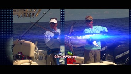 Saltwater.TV — Inshore. Offshore. On Demand.