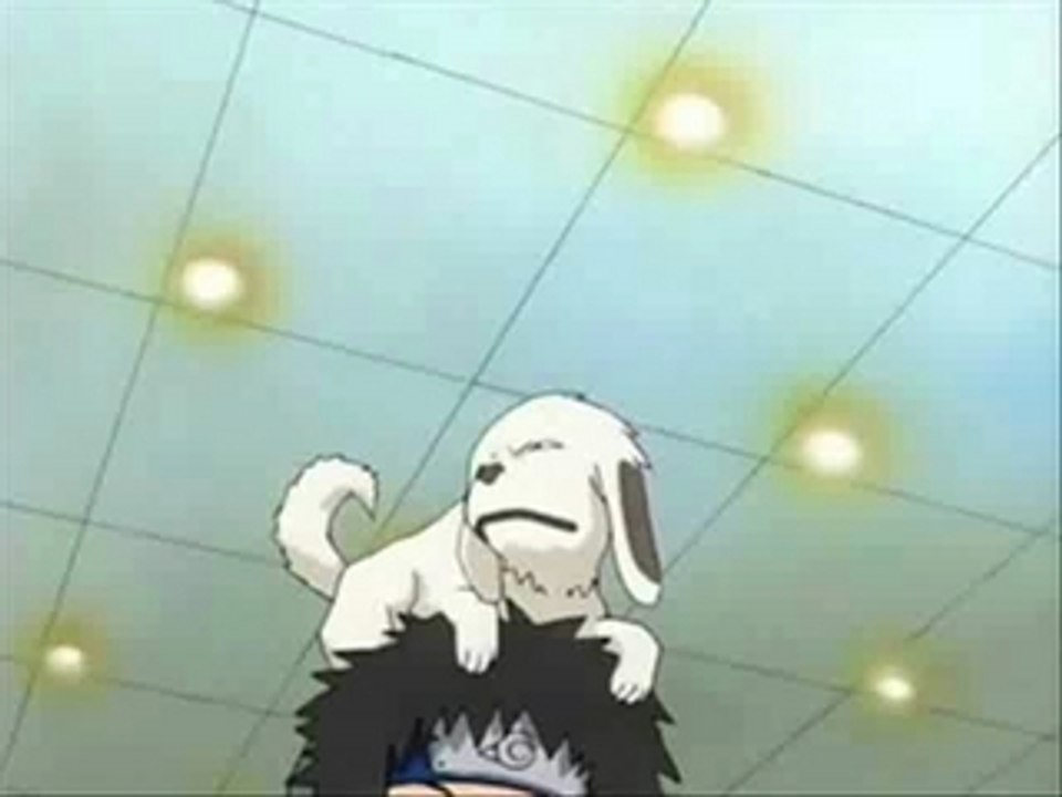 125 personajes de Naruto / 125 Naruto characters.