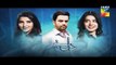 Dil E Beqarar - Episode 11 Promo HUM TV Drama 15 June 2016