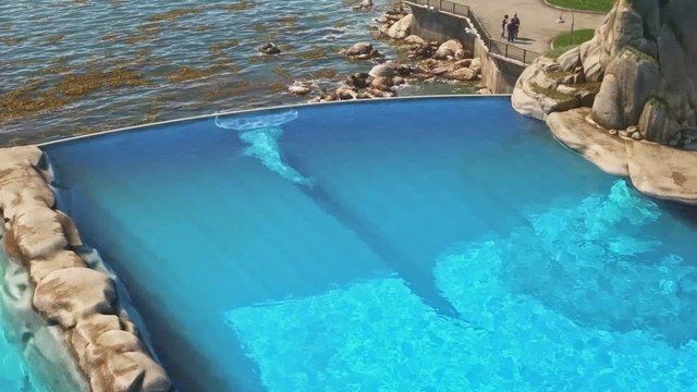 В поисках Дори 2016 смотреть онлайн в хорошем качестве hd 720 полный мультфильм на русском