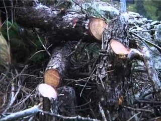 PYJET DHE KULLOTAT QEVERIA PRANON DESHTIMIN ME TRANSFERIMIN TE KOMUNAT LAJM