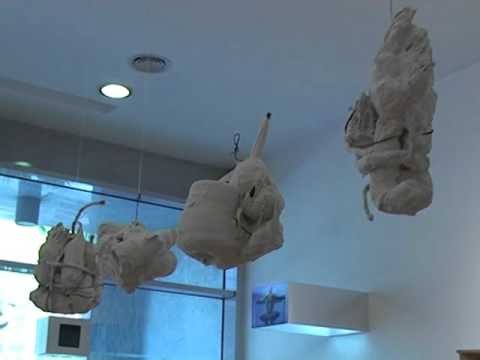 “CESHTJA D” EKSPOZITE ME ARTISTET E NJOHUR TE DALTES DHE PENELIT LAJM