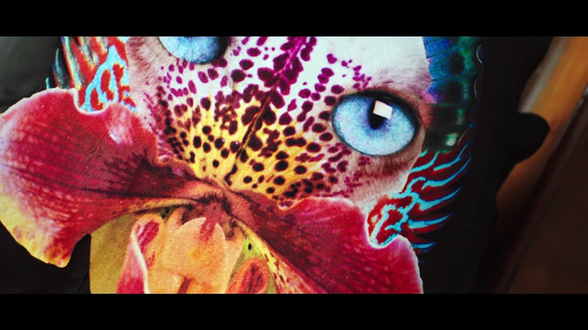 Galantis - No Money (Official Video) - video Dailymotion