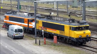9901 en 9905, Alsthom Locon, alleen de 9901 rijdt!, Kijfhoek, 17-2-2012