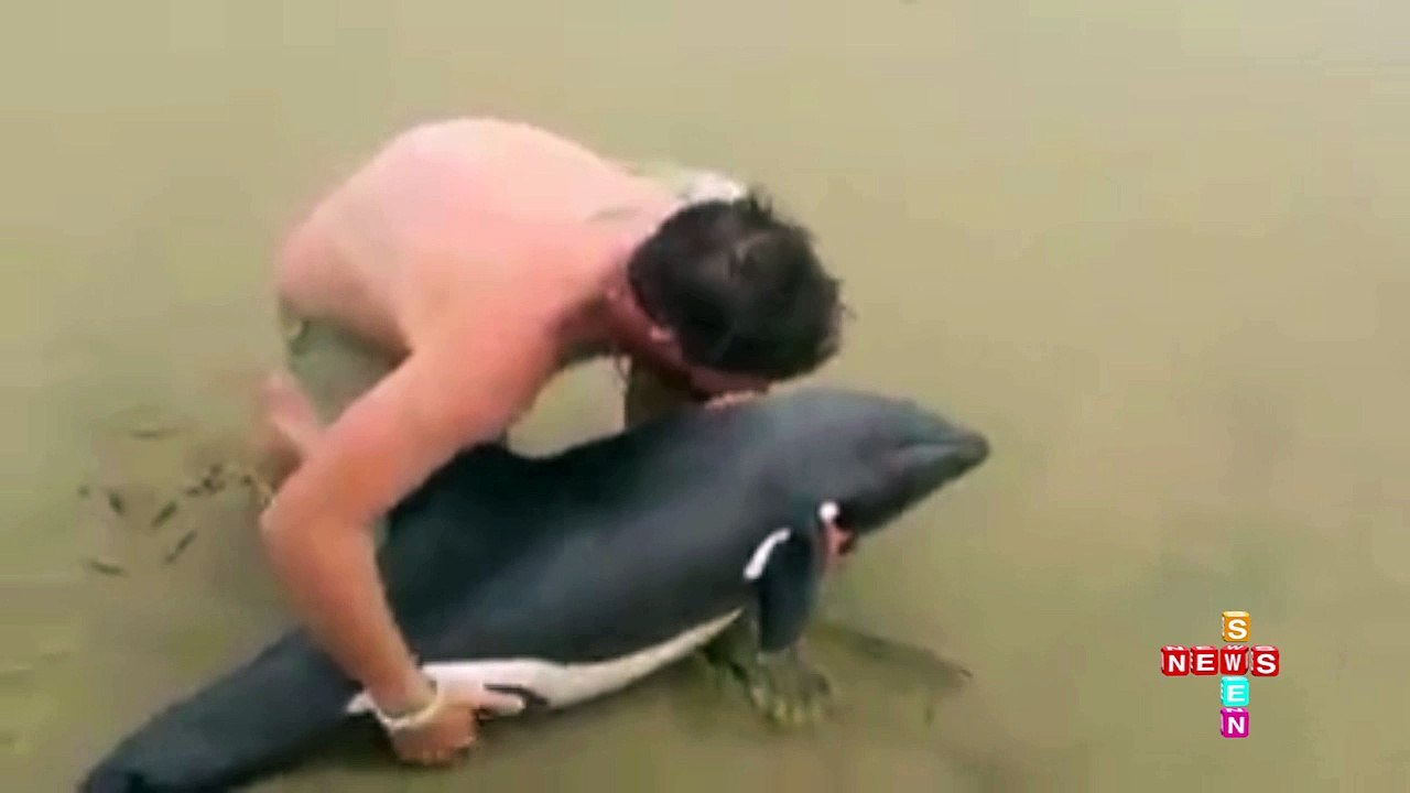 A small whale rescue operation