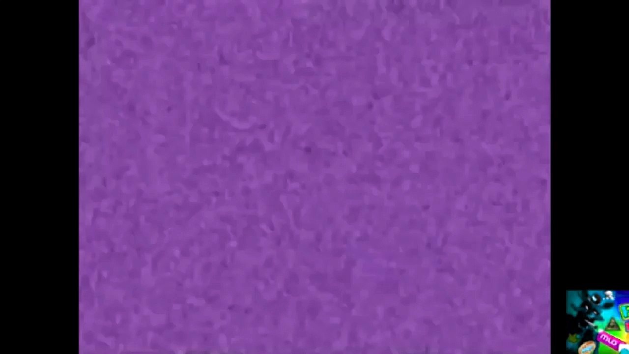 Blue Lowers NEIN Csupo