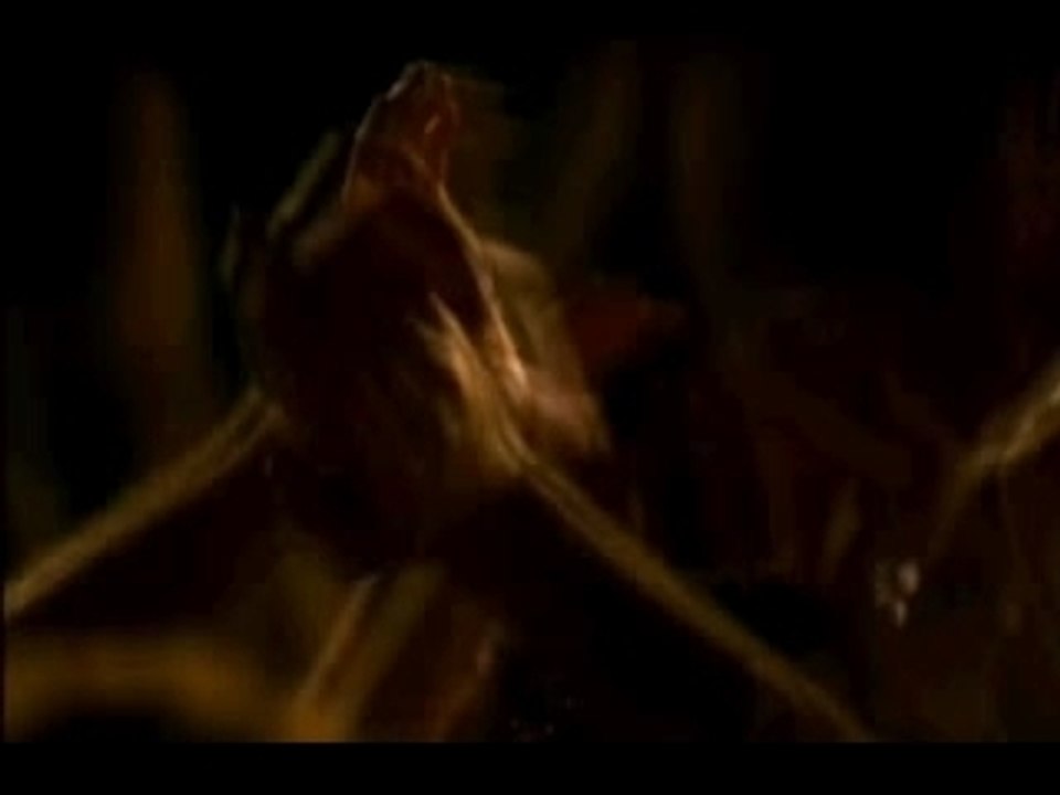 Coldplay - Amsterdam