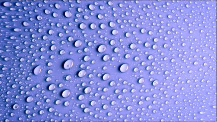 Koan- Fashionable Mood