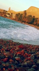 الشيخ صالح المغامسي