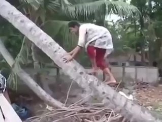 Crazy Girl Trying to Climb on Tree but falls