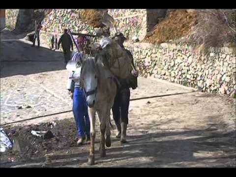 BORJA E IZOLUAR MEGJITHESE DEBORA SHKRIU FSHATI I IZOLUAR NGA KOMUNA LAJM