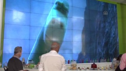 Türkiye'nin Disneylandı Tamamlanmak Üzere - Antalya