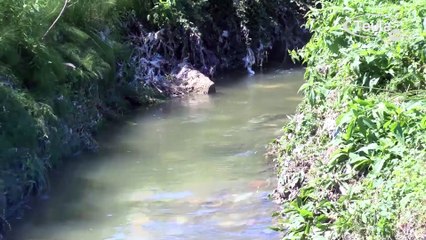 Ardijan Mavriq- Duhen masa konkrete dhe plan i posacem per permbytje