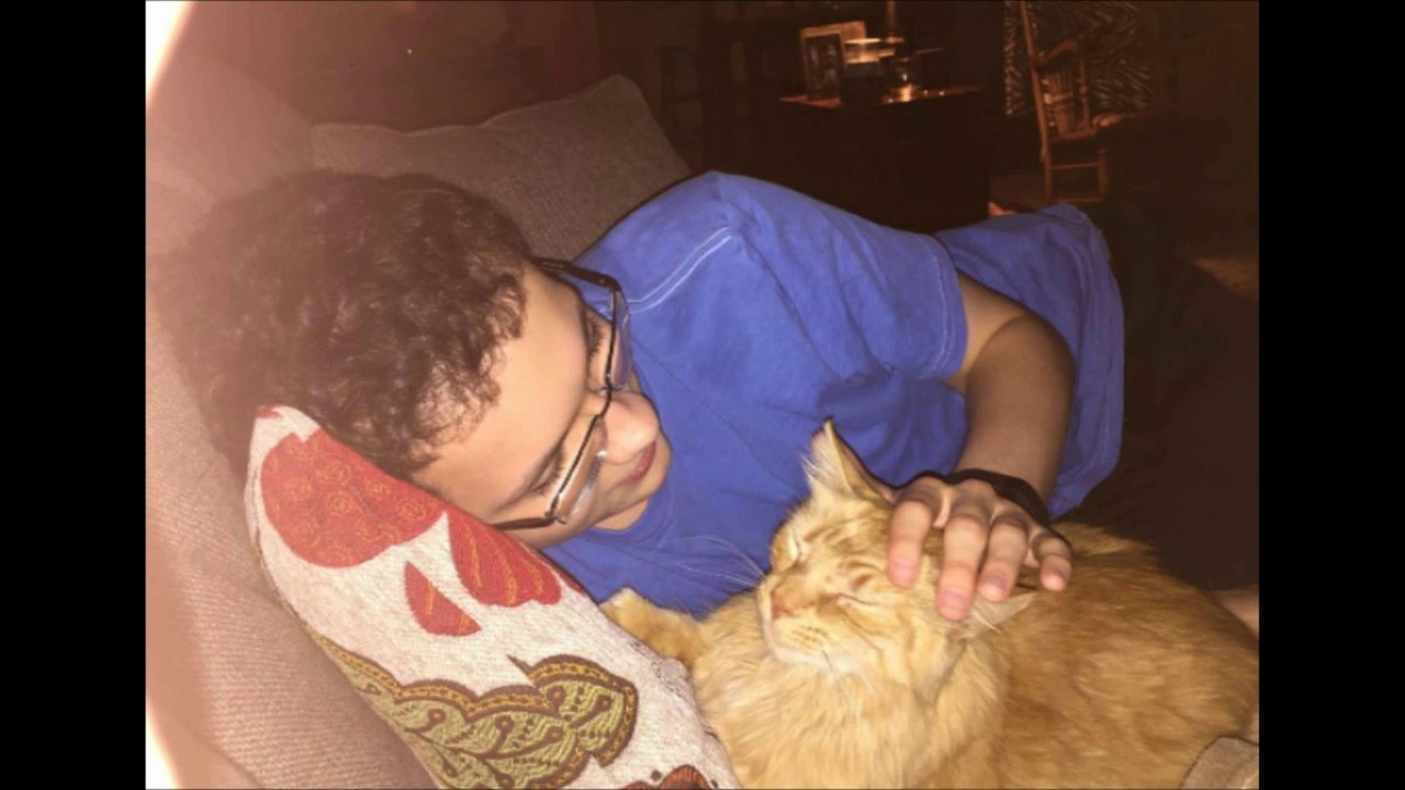Sandy The Cat Tribute Slideshow