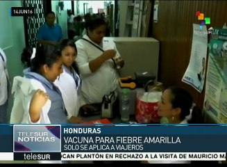 Descargar video: Honduras: decreta OMS alerta por aumento de casos de Fiebre Amarilla