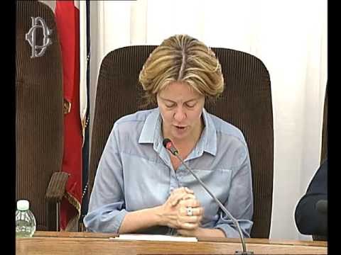 Roma - Audizione Lorenzin ed esperti (14.06.16)