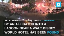 Disney gator attack: two-year-old found dead, source says