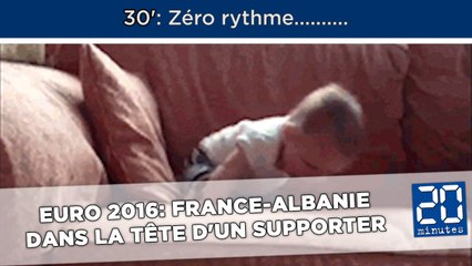 Euro 2016: Le match France-Albanie dans la tête d'un supporter (en GIF)