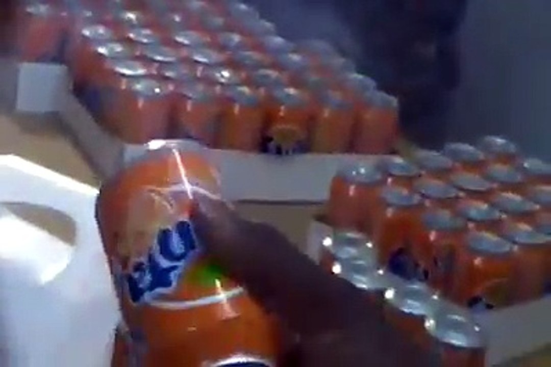 LES AFRICAINS SERAIENT-ILS LES HOMMES LES PLUS BETES DE LA PLANETE