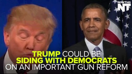 Trump Might Be Siding With Democrats On No-Fly List