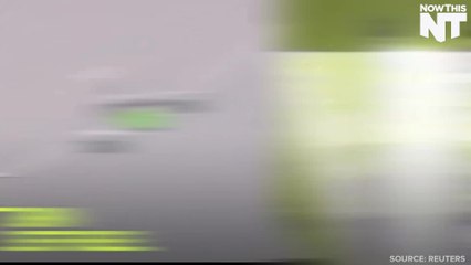 Airbus Wants To Convert Algae Into Jet Fuel