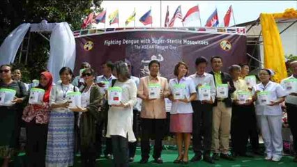 Tailandia libera mosquitos esterilizados en el marco del Día Asiático contra el Dengue