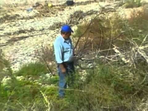 ARRESTOHEN 4 SHQIPTARE KAPET 35 KG DROGE NE KATANIA,VINTE NGA SHQIPERIA LAJM