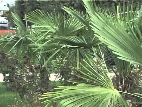 PARASHIKIMI I MOTIT PRITET ULJE E TEMPERATURAVE DHE RESHJE NE GJITHE VENDIN LAJM