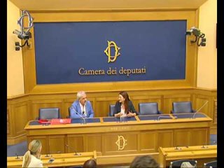 Roma - Conferenza stampa di Walter Rizzetto (14.06.16)