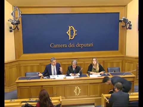 Roma - Maxi bollette - Conferenza stampa di Renato Brunetta (15.06.16)