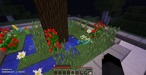 Where did he go?! | Minecraft Hide-n-seek