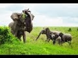 أطرف وأجمل صور شهر فبراير