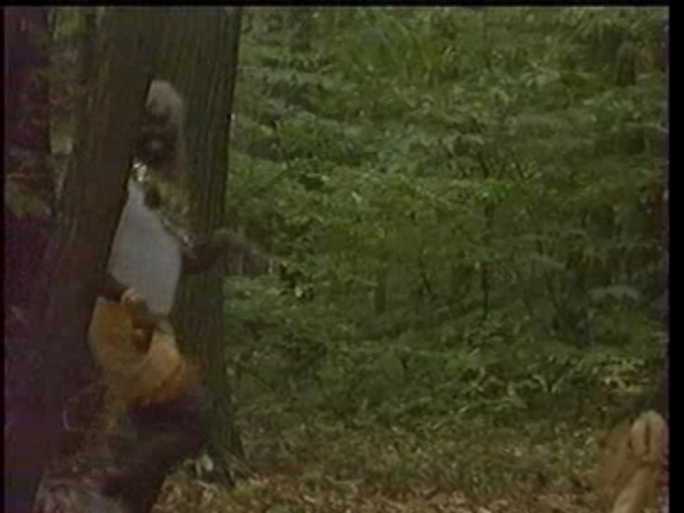 [PlopBlog.com]La Bande A Fifi - Mister T