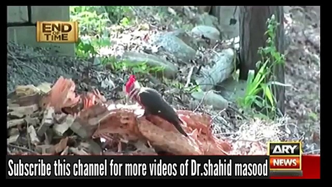 End of Time Final Call 12 June 2016 - EP 6 | Dr Shahid Masood End Of Time Final Call