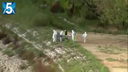 Real Life Mermaids Caught On Camera - MUST SEE!