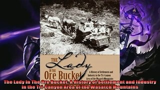 Enjoyed read  The Lady In The Ore Bucket A History of Settlement and Industry in the TriCanyon Area of