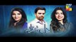 Dil E Beqarar Episode 11 Promo HUM TV Drama 15 June 2016