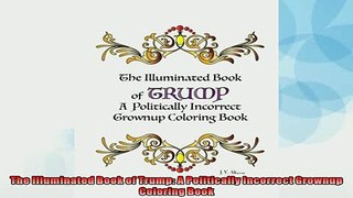 Free PDF Downlaod  The Illuminated Book of Trump A Politically Incorrect Grownup Coloring Book  FREE BOOOK ONLINE