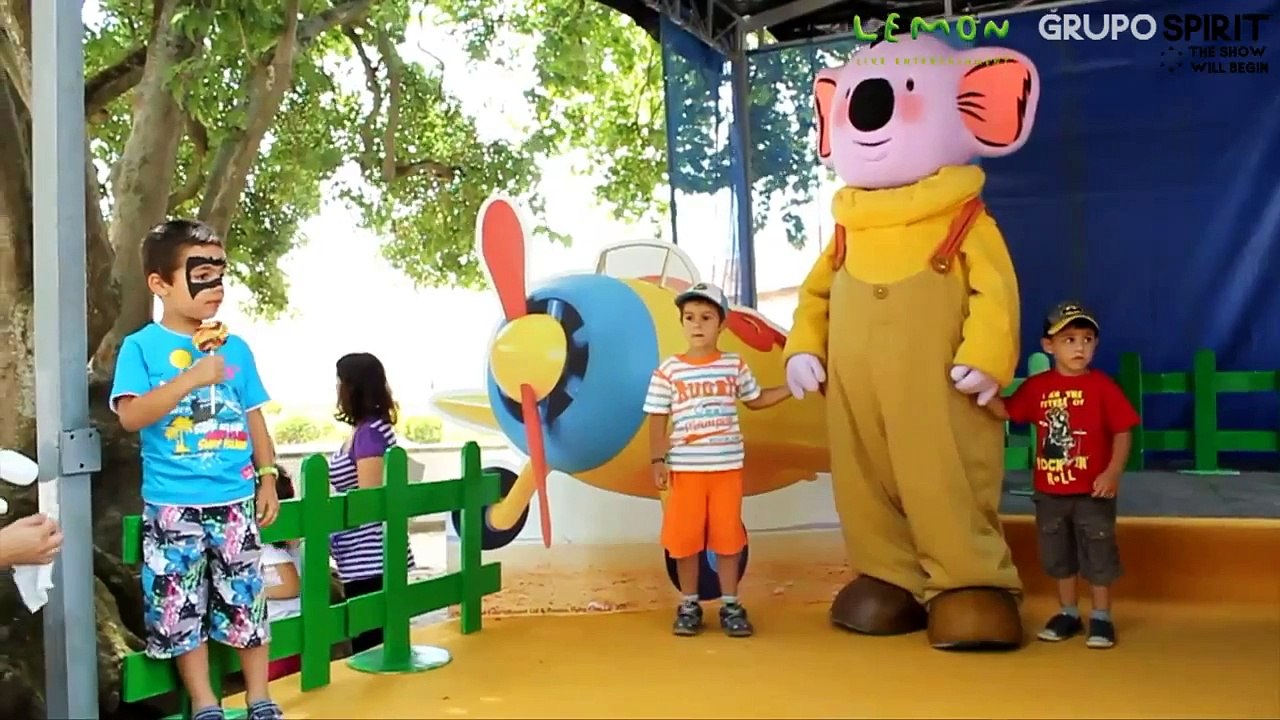 Irm os Koala na Vista Alegre