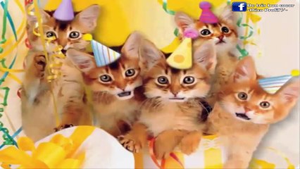 Many many happy returns of the day sumi darling.  Have a blast and a great year ahead. God bless. Muaaaaah. Love you loadz