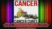 READ FREE FULL EBOOK DOWNLOAD  Cancer Cancer Cure Natural Cancer Cures And Chemo Alternatives CancerCancer CureCancer Full Free