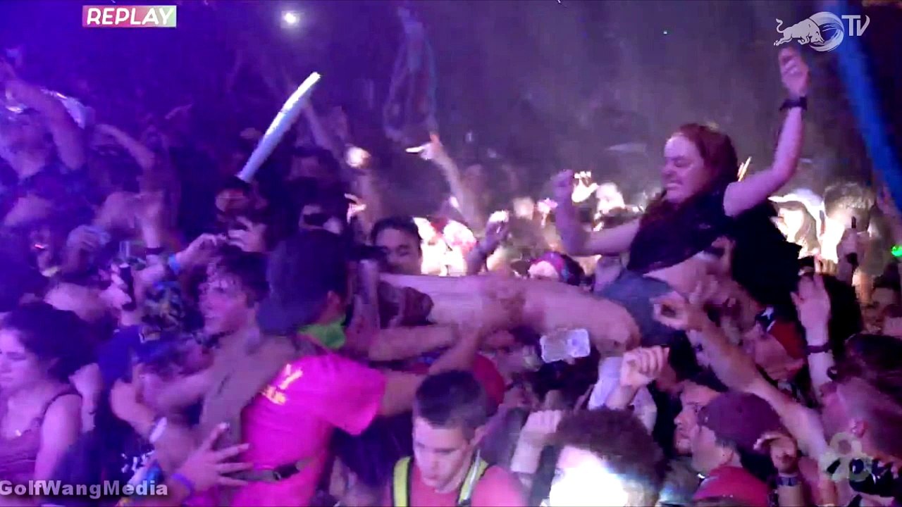 Tyler, The Creator Live At Bonnaroo (2016)