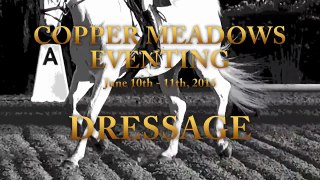 084D Rachel Lupo on Roman Holiday SR Training Dressage Copper Meadows June 2016