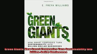 Popular book  Green Giants How Smart Companies Turn Sustainability into BillionDollar Businesses