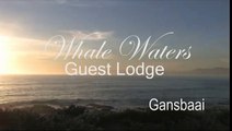 Whale Waters Guest House - South Africa Travel Channel 24