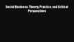 Read Social Business: Theory Practice and Critical Perspectives PDF Free