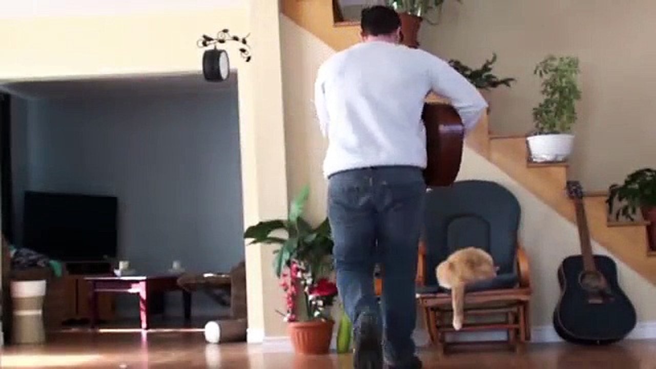 Cet homme repousse son chat avec un coup de pied, regardez comment ce dernier se venge